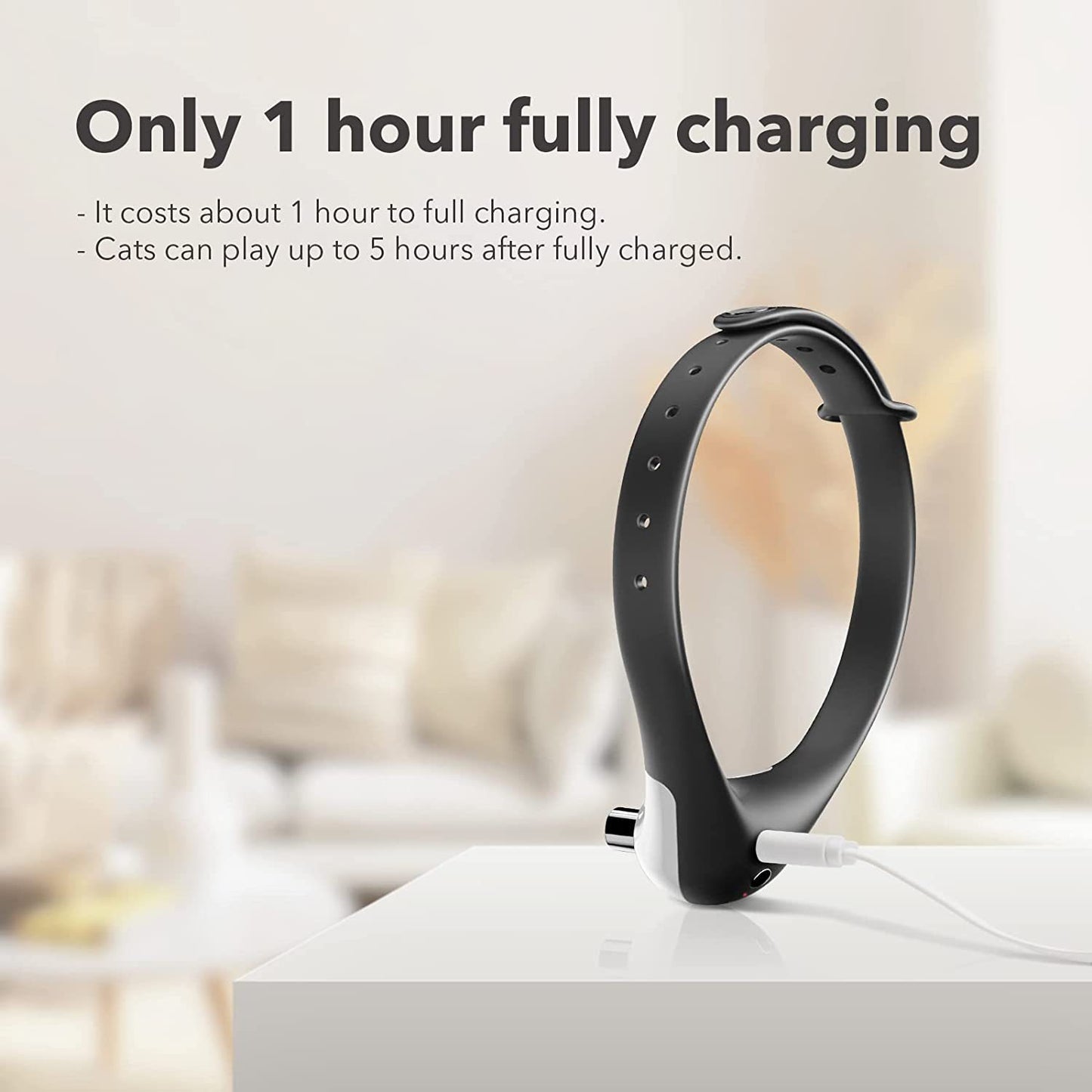 Laser Cat Toy Collar – Interactive Play for Endless Fun